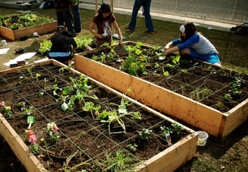 KIPP Garden 118.jpg